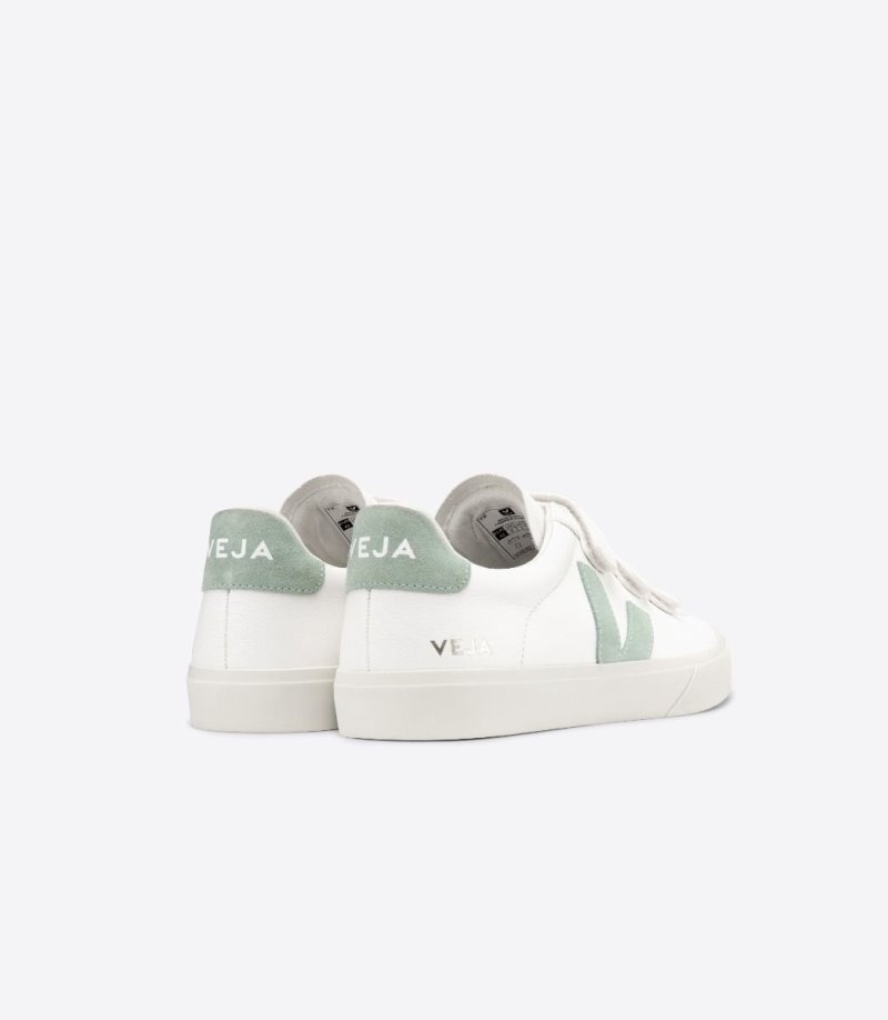 Tenis Veja Recife Chromefree Cuero Hombre Blancas Verde Claro Colombia | GHV0T1